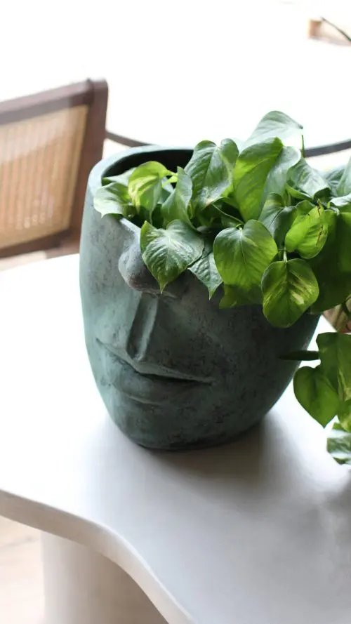 POTERIE/CACHE POT VISAGE