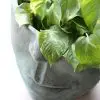 Poterie visage vert antique (3) POTERIE/CACHE POT VISAGE