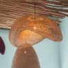 Suspension haricot SUSPSENSION HARICOT