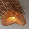 Suspension haricot (2) SUSPSENSION HARICOT